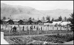 Photo postcard showing the houses, gardens and main holding area of the Vernon internment camp