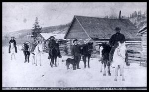 Group with loaded pack horses for the mountains at Elbert House