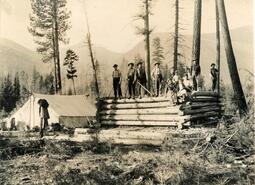 Building a cabin at Patrick's Lumber Co. camp 