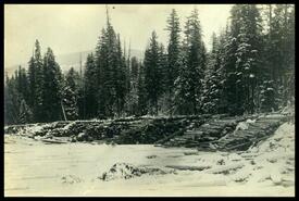 Eagle River and logs