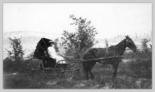 Woman in a buggy on the road between Armstrong and Enderby