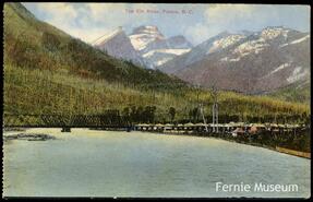 "The Elk River, Fernie, B.C."