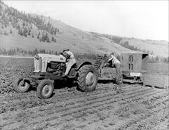 Tractor and equipment harvesting spinach on the Coldstream Ranch