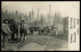 Early settlers in the Slocan Valley likely near Valican
