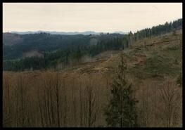 Scenic shot of Oregon country side at logging operation
