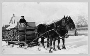 Charlie Mitchell in horse-drawn sled with firewood on Tony Smith farm, Schubert Rd.