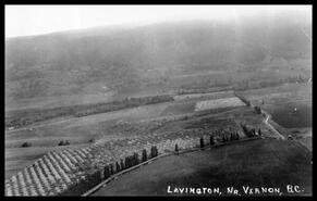 Aerial view of Lavington area