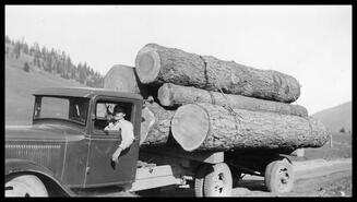 Truck hauling pine logs, Lavington
