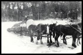 Arthur Veale with logs on horse drawn sleigh on Iron Mountain in Voght Valley