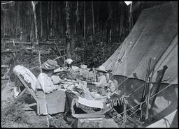 Camping at Mabel Lake