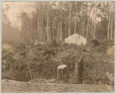 Walter Verity's tent house at Trout Creek