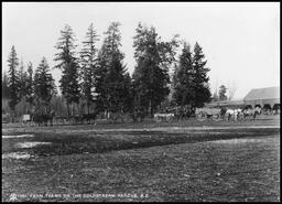 Five horse-drawn wagons lined up ready to go to work at the Coldstream Ranch
