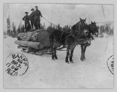 Hauling logs by sleigh