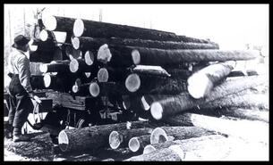 Columbia River Lumber Company log deck