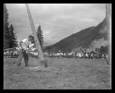 Felling contest at Lumby Days logger's games