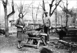 May and Tom Davison in their yard cutting firewood with a two man saw