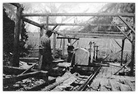 Don Archibald and Rummy Hardman cutting large log at Cade Sawmill in Hedley