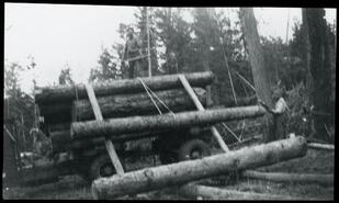Two men with logging truck