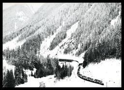 Diesel train passing through Laurie sheds, Rogers Pass