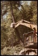 Excavator arm and bucket pushing on tree to make it fall