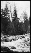 20 Mile Creek, ca. 1920