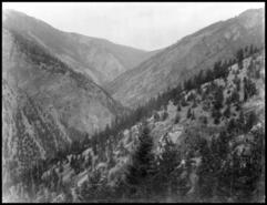 20 Mile Creek Canyon, ca. 1900