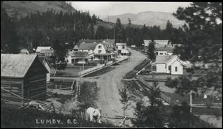 View of Lumby, B.C.