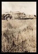 Frank Manery haying on Prairie