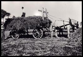 Lawrence Scott on top of hay wagon