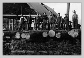 Sawmill workers
