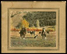 Hand coloured view of Mrs./Ms. Scatchard (Ping?) and Ms. Fuzie on horseback with cattle