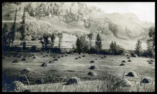 Hay fields on the flats of Jackson ranch on the Kettle River