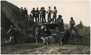 Harvest crew posing with threshing machinery