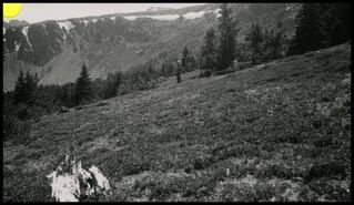[Man hunting with rifles on a mountain pass, Ashnola, B.C.]