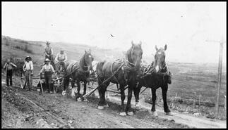 Crew hired as the government road gang to build Pleasant Valley Road with four horse wagon team