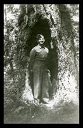 Axel Gronquist in his army uniform standing in hollow tree