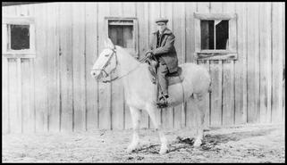 Man on horse at Middleton farm