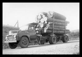 Logging truck on Pottery Road -International