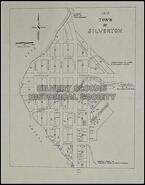 1910 Town of Silverton Lot Plan Map