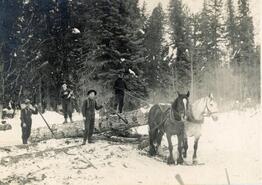 Logging in the Slocan Valley