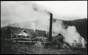 Logging operations at Robbs Sawmill