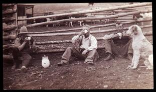 Three farm workers on coffee break at M.P. Williams' ranch