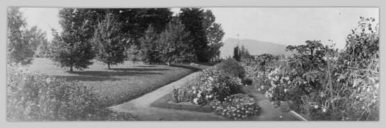 T.K. Smith house gardens looking west, 1920's