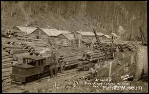 At Camp 9, steam loader at work, Elk Lumber Co.