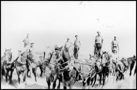 Andy Glen's threshing crew on horseback