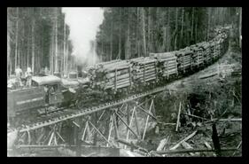 Steam engine pulling log train, Golden