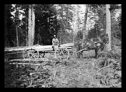 T. Gallichan sitting on trailer filled with logs pulled by horse