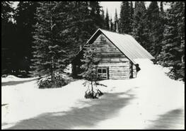 Forestry cabin
