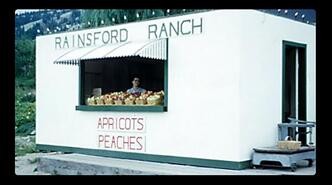 Marjorie (Marge) Butterworth selling fruit at the family's Rainsford Ranch fruit stand, in Oyama