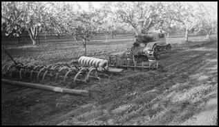 Tractor and plow in DeDecker orchard in the BX